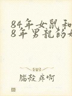84年女鼠和88年男龙的姻缘怎样