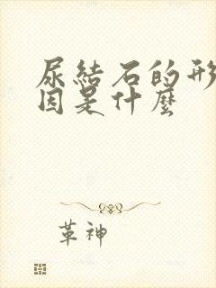 尿结石的形成原因是什么