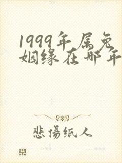1999年属兔姻缘在哪年