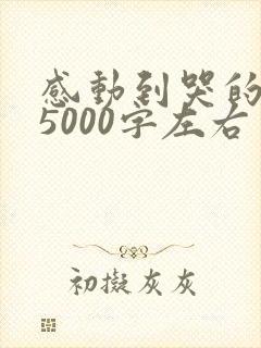 感动到哭的情书5000字左右封面