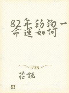 82年的狗一生命运如何封面