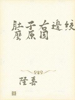 肚子右边绞痛什么原因