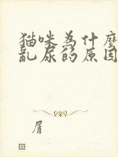 猫咪为什么乱拉乱尿的原因