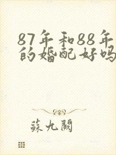 87年和88年的婚配好吗