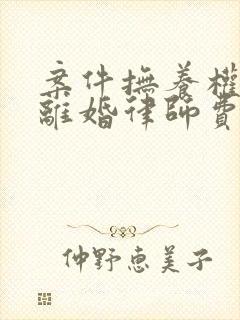 案件抚养权纠纷离婚律师费