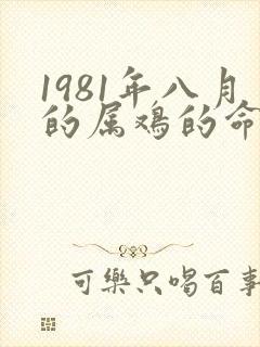 1981年八月的属鸡的命运