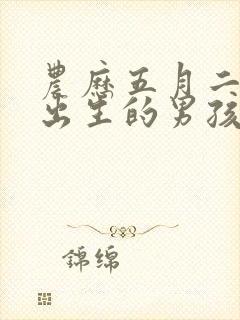 农历五月二十八出生的男孩命运好吗