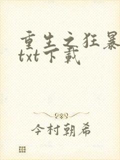 重生之狂暴火法txt下载