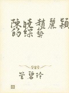 陈晓赵丽颖参加的综艺