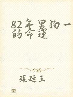 82年男狗一生的命运封面