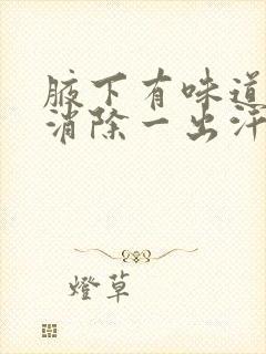 腋下有味道怎么消除一出汗就有