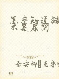 怎么知道猫咪是不是尿闭封面