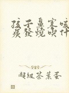 孩子鼻塞咳嗽有痰发烧吃什么药