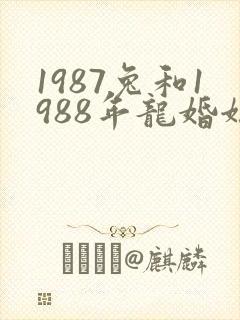 1987兔和1988年龙婚姻好不好