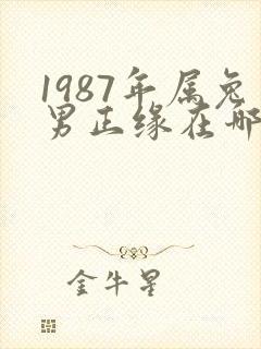 1987年属兔男正缘在哪年