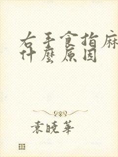 右手食指麻木是什么原因封面