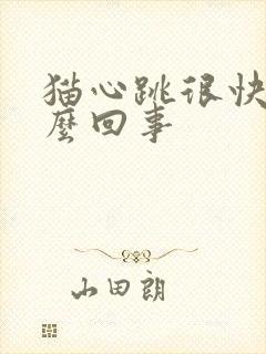 猫心跳很快是怎么回事