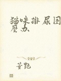 猫咪排尿困难怎么办