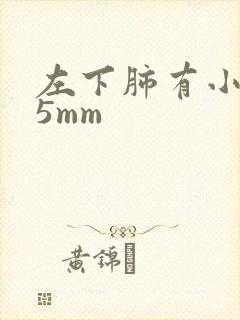 左下肺有小结节5mm封面