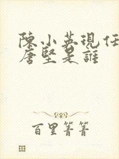 陈小英现任丈夫唐坚是谁