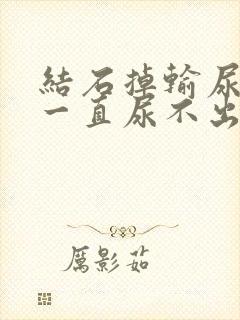 结石掉输尿管里一直尿不出来