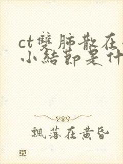 ct双肺散在微小结节是什么意思