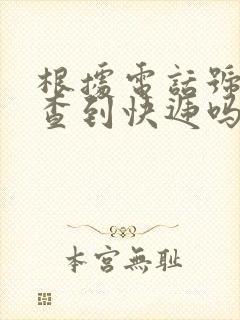 根据电话号码能查到快递吗