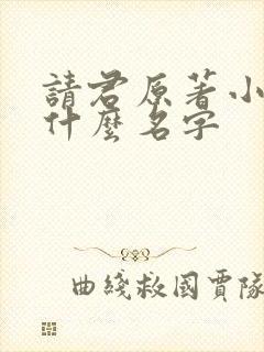 请君原著小说叫什么名字