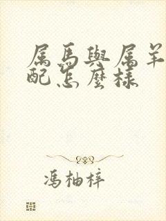 属马与属羊的婚配怎么样