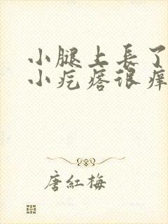 小腿上长了很多小疙瘩很痒封面