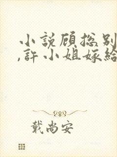 小说顾总别虐了,许小姐嫁给你哥了封面