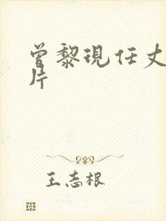 曾黎现任丈夫照片