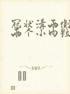 冠状沟两侧长了两个小肉粒