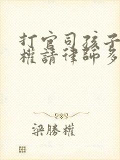 打官司孩子抚养权请律师多少钱