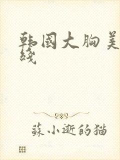 韩国大胸美女在线