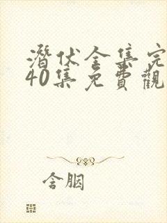 潜伏全集完整版40集免费观看封面