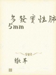 多发实性肺结节5mm