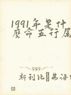 1991年是什么命五行属性
