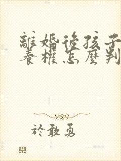 离婚后孩子的抚养权怎么判定