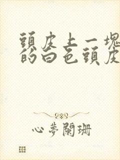 头皮上一块一块的白色头皮屑