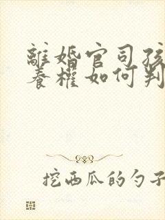 离婚官司孩子抚养权如何判定