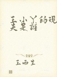 王小丫的现任丈夫是谁