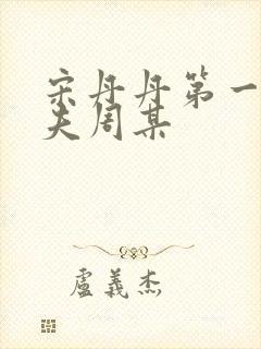 宋丹丹第一任丈夫周某封面