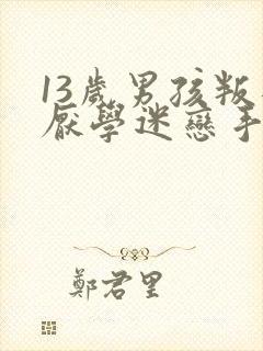 13岁男孩叛逆厌学迷恋手机怎么办?