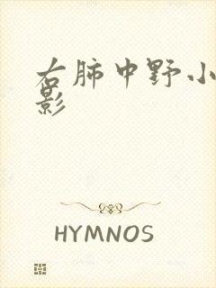 右肺中野小结节影封面