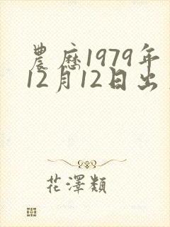 农历1979年12月12日出生的命运