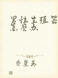 男性生殖器弯了怎么办