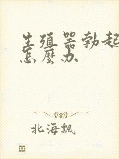 生殖器勃起弯曲怎么办