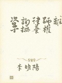 咨询律师离婚孩子抚养权