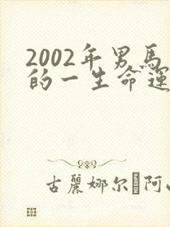 2002年男马的一生命运封面